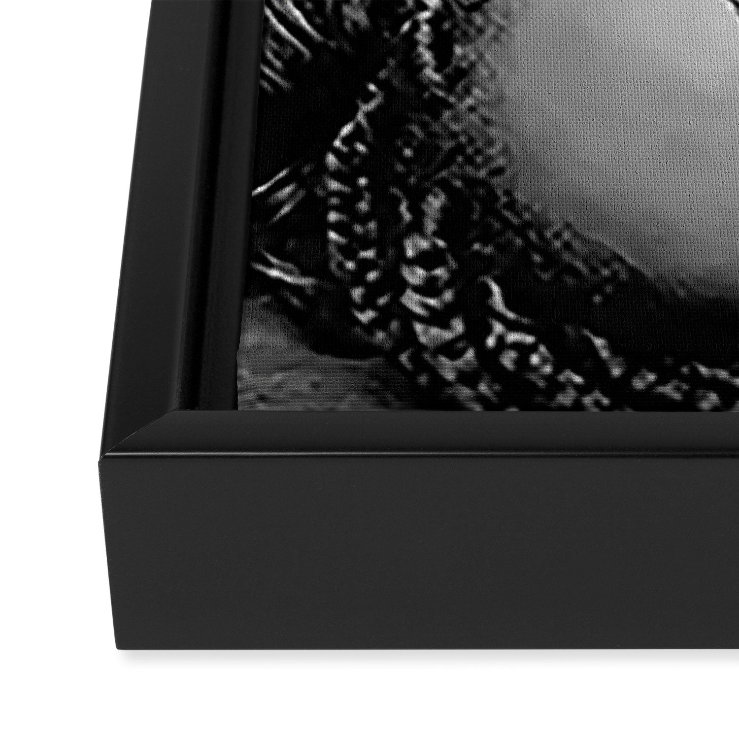 African American Women in black and white Framed Canvas Print Gallery Image 3