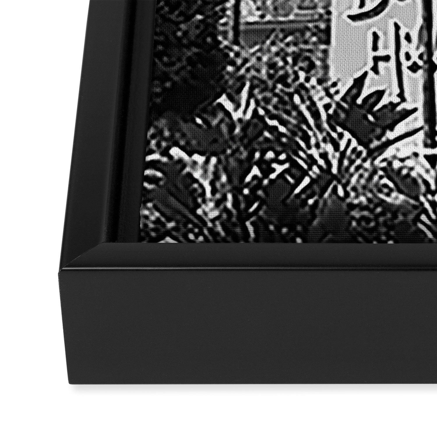 Beverly Hills Hotel, California black and white photograph / black and white photography Framed Canvas Print Gallery Image 3