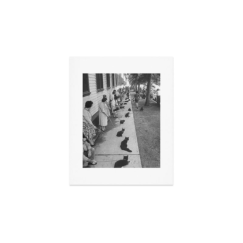 Black Cats Auditioning in Hollywood black and white photograph Art Print Gallery Image 1
