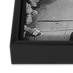 Black Cats Auditioning in Hollywood black and white photograph Framed Canvas Print Gallery Image 3