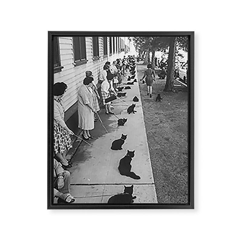 Black Cats Auditioning in Hollywood black and white photograph Framed Canvas Print Gallery Image 6