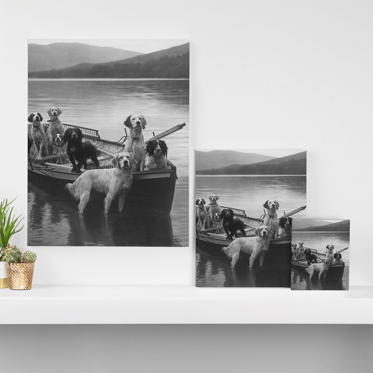 Dogs on a boat black and white canine photograph portrait - photographs - photography Canvas Print Gallery Image 3
