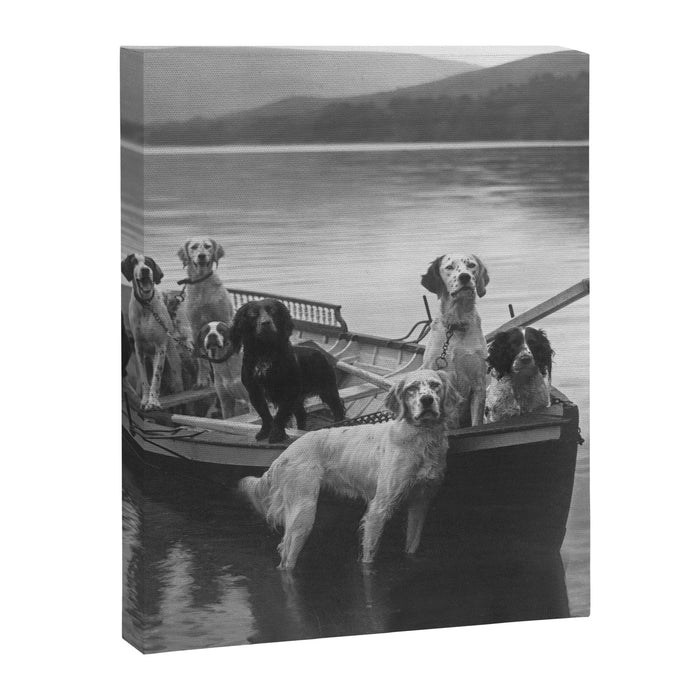 Dogs on a boat black and white canine photograph portrait - photographs - photography Canvas Print Gallery Image 1