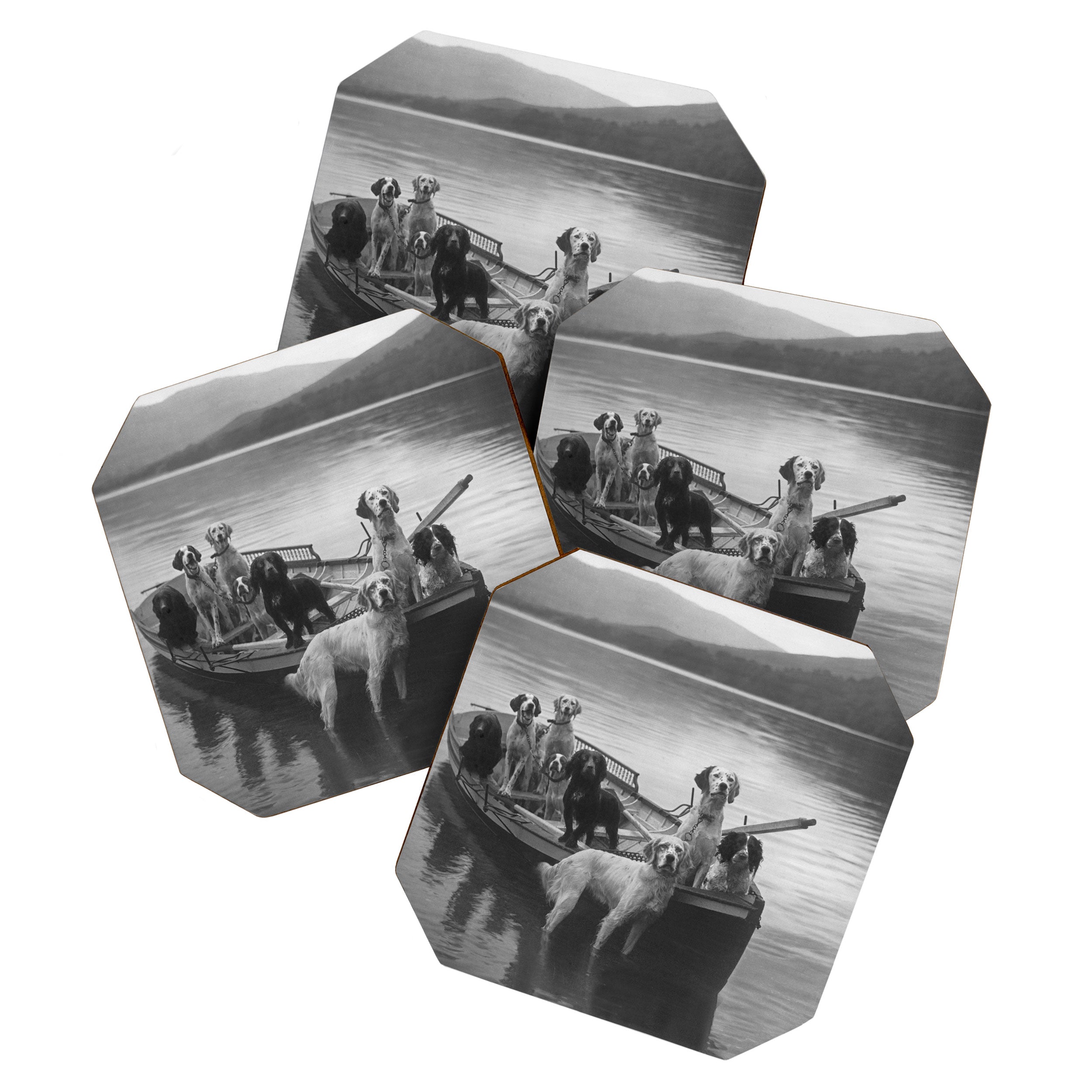 Dogs on a boat black and white canine photograph portrait - photographs - photography Coaster Gallery Image 1