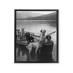 Dogs on a boat black and white canine photograph portrait - photographs - photography Framed Canvas Print Gallery Image 6