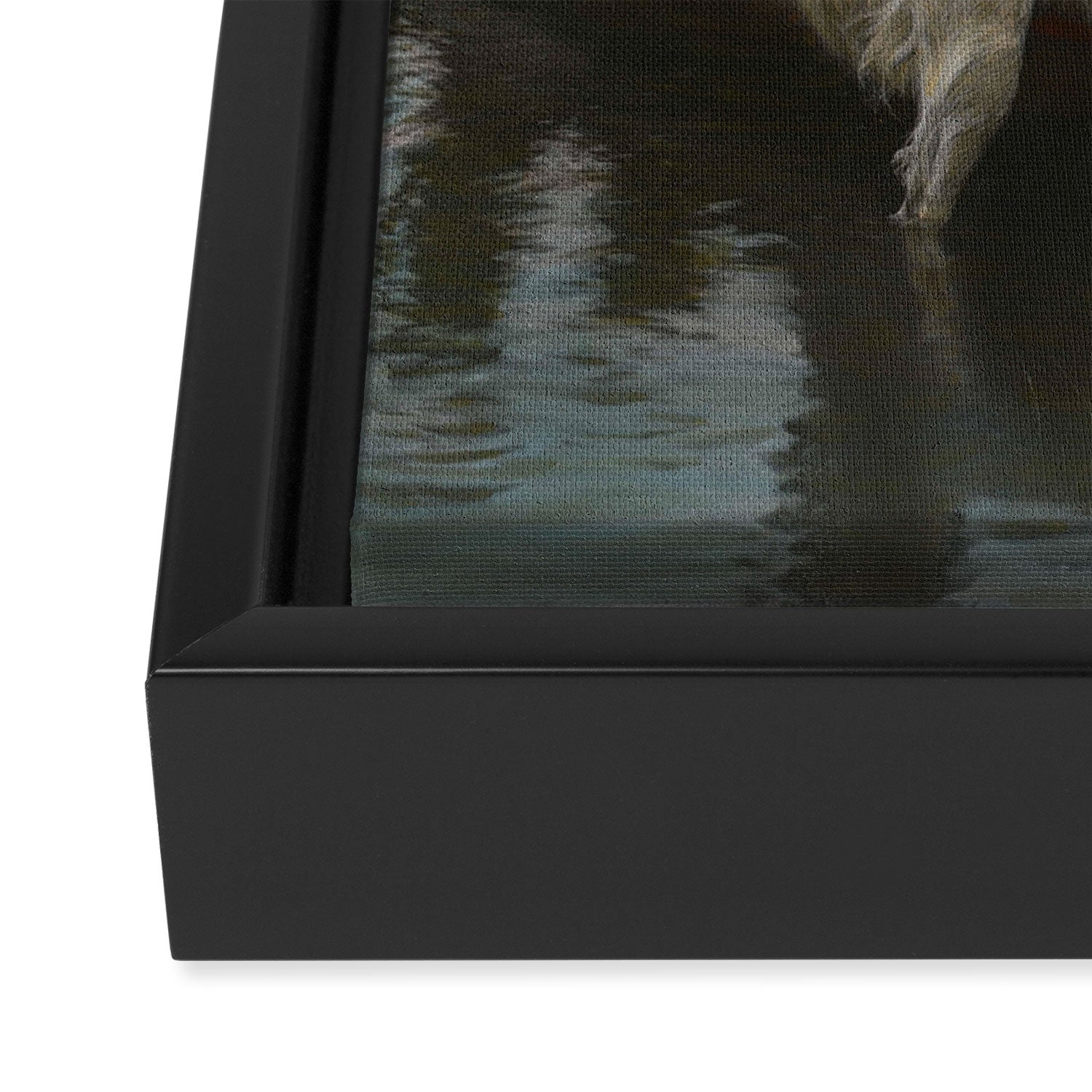 Dogs on a boat II color canine photograph portrait - photographs - photography Framed Canvas Print Gallery Image 3