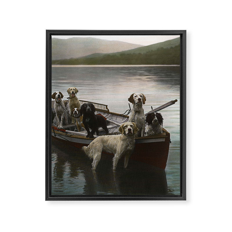 Dogs on a boat II color canine photograph portrait - photographs - photography Framed Canvas Print Gallery Image 6