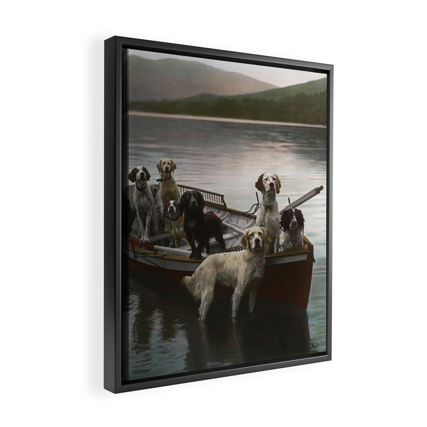 Dogs on a boat II color canine photograph portrait - photographs - photography Framed Canvas Print Gallery Image 2