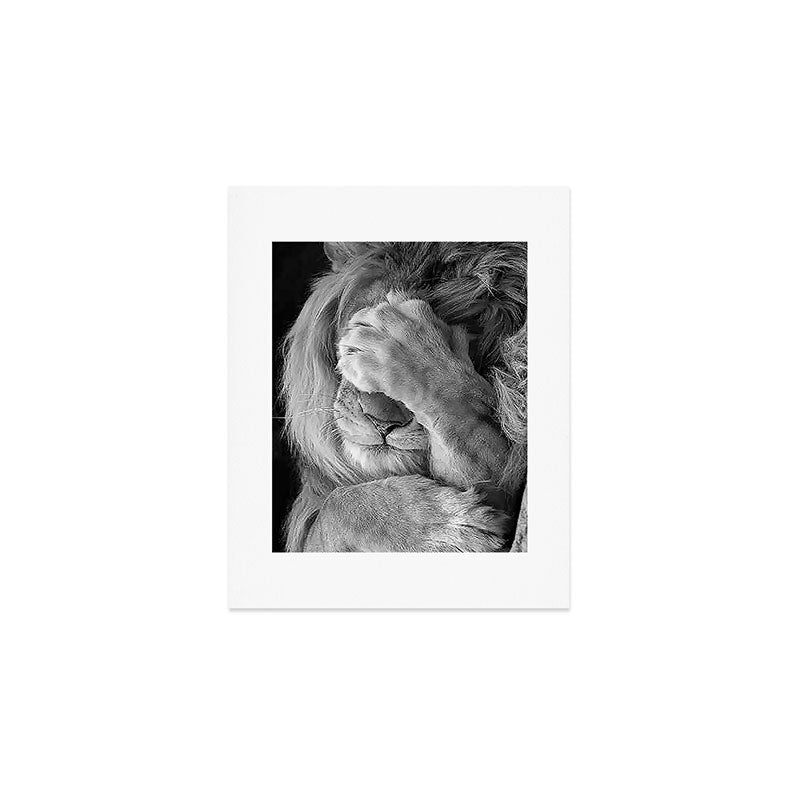 Even Lions Have Bad Days - The Lion Sleeps Tonight black and white photograph  Art Print Gallery Image 1