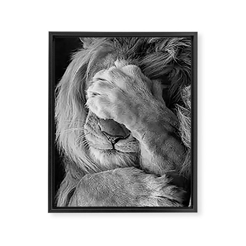 Even Lions Have Bad Days - The Lion Sleeps Tonight black and white photograph  Framed Canvas Print Gallery Image 8