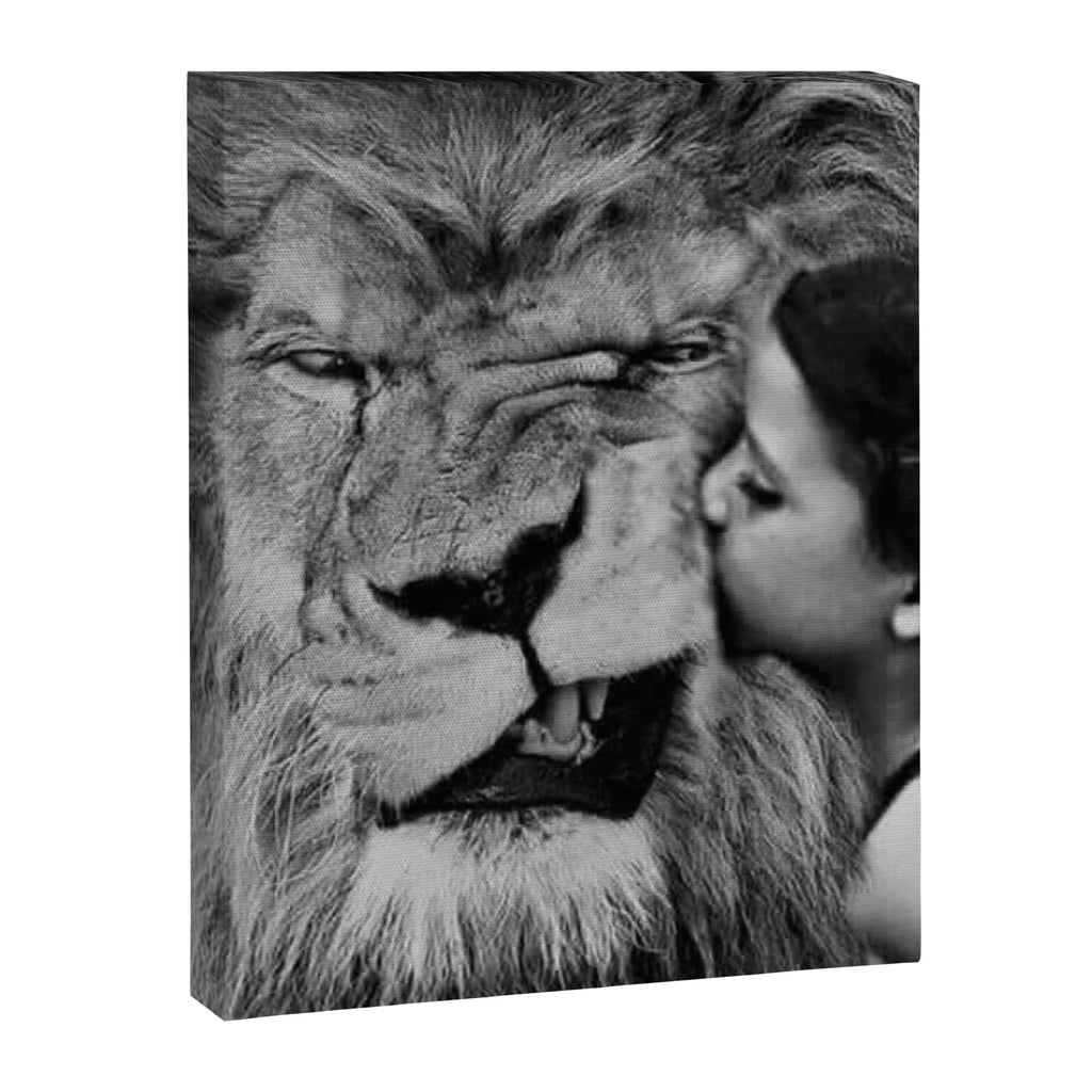 Grouchy Lion being kissed by brunette girl black and white photography Canvas Print Gallery Image 8