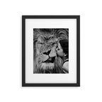 Grouchy Lion being kissed by brunette girl black and white photography Framed Art Print Gallery Image 4