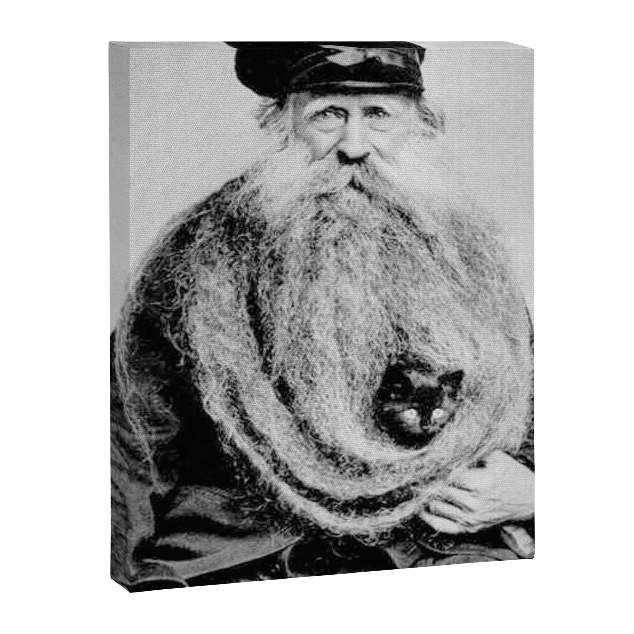 Kitten in the Beard of Old Man black and white photograph Canvas Print Gallery Image 8