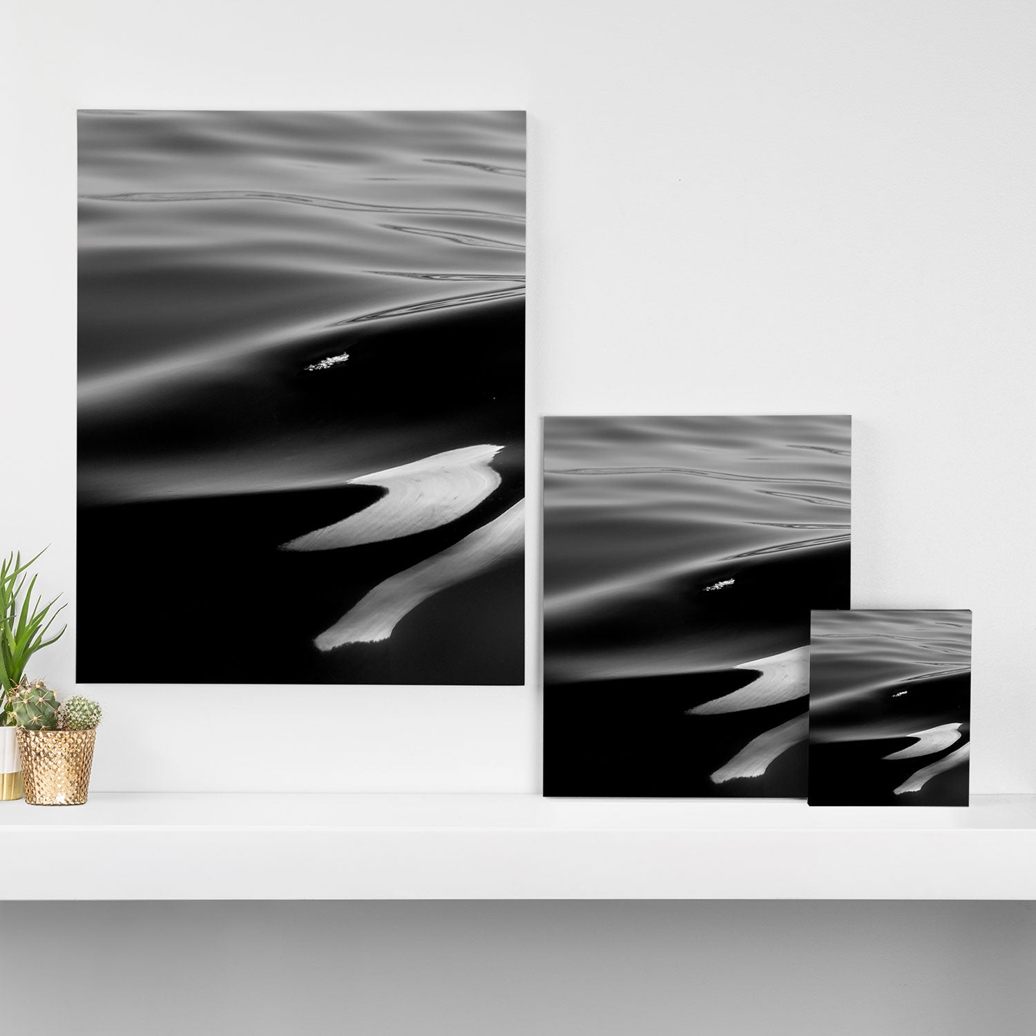 Orca, kill whale whale watching black and white nature photograph - photography - photographs Canvas Print Gallery Image 3