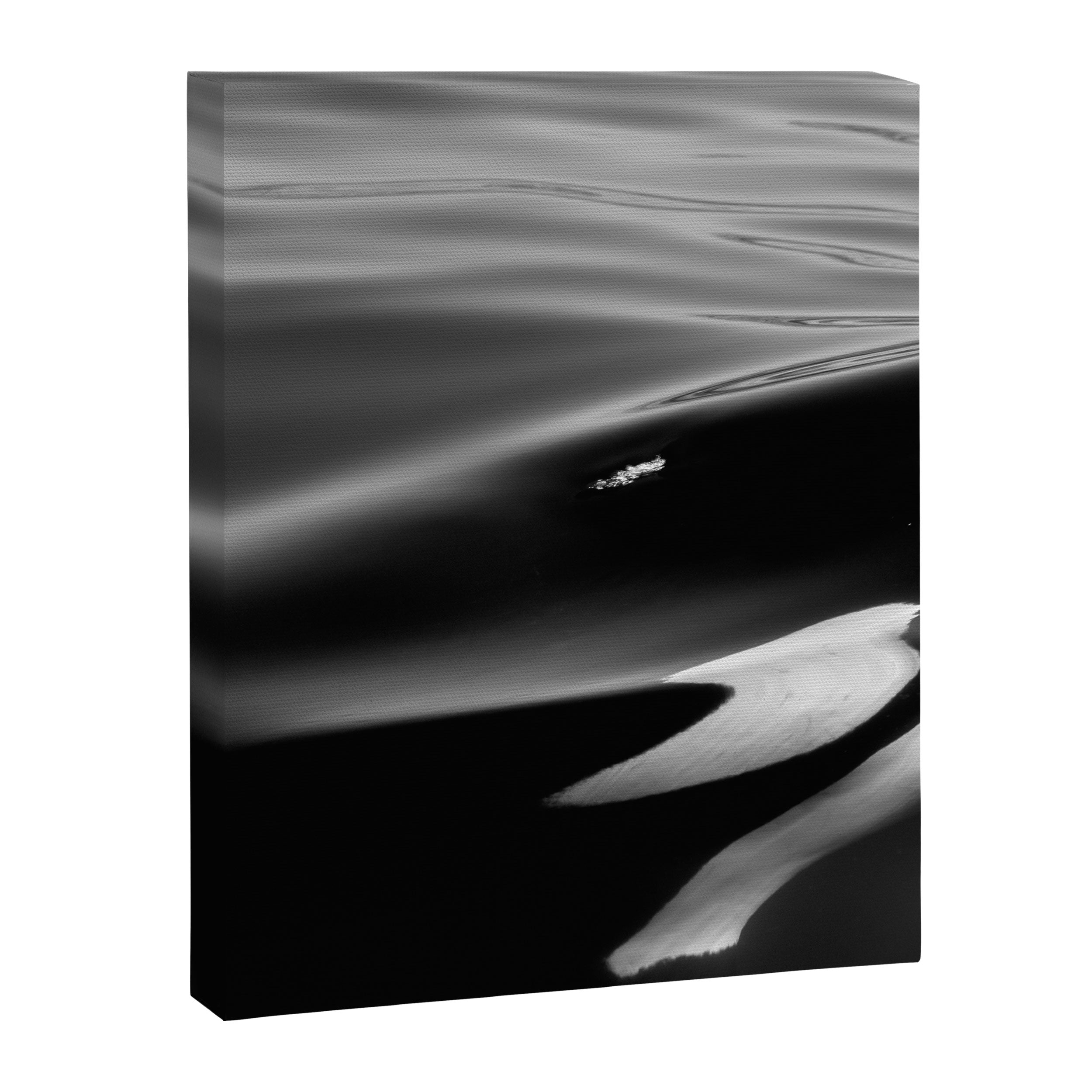 Orca, kill whale whale watching black and white nature photograph - photography - photographs Canvas Print Gallery Image 6
