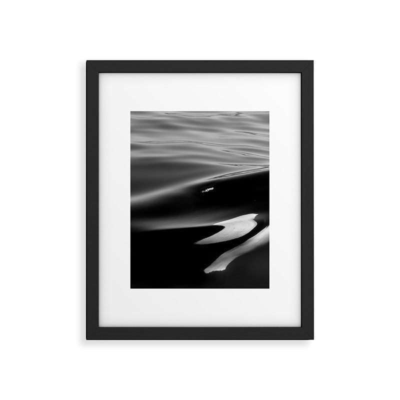 Orca, kill whale whale watching black and white nature photograph - photography - photographs Framed Art Print Gallery Image 5