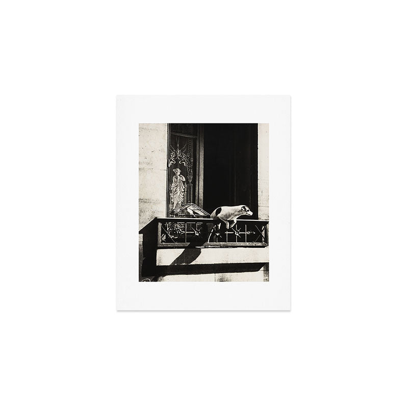 Paris, 1926, Dog out of Window Paris France black and white photograph Art Print Gallery Image 1