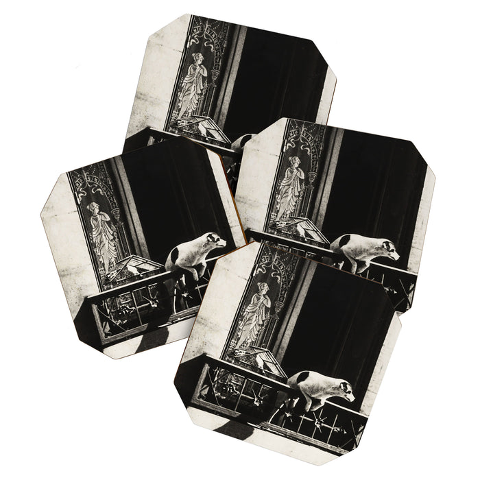 Paris, 1926, Dog out of Window Paris France black and white photograph Coaster Gallery Image 1