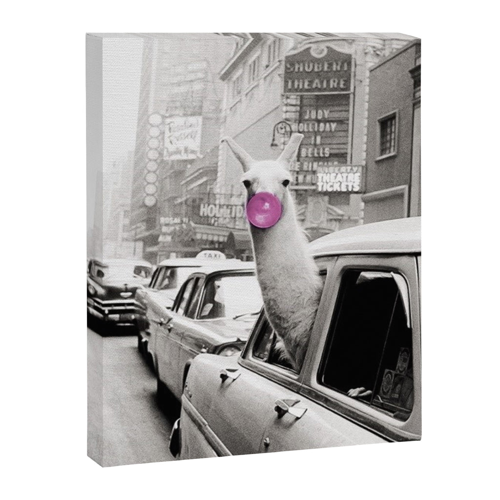 Perfect Pink Bubble Gum Llama taking a New York Taxi black and white photograph Canvas Print Gallery Image 8