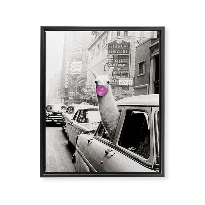 Perfect Pink Bubble Gum Llama taking a New York Taxi black and white photograph Framed Canvas Print Gallery Image 1