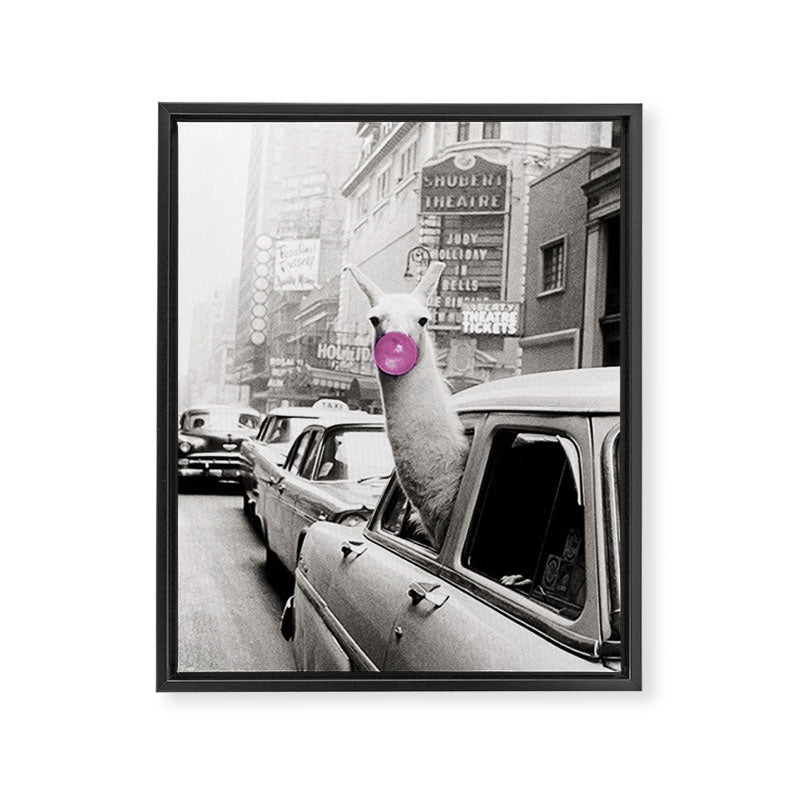 Perfect Pink Bubble Gum Llama taking a New York Taxi black and white photograph Framed Canvas Print Gallery Image 8