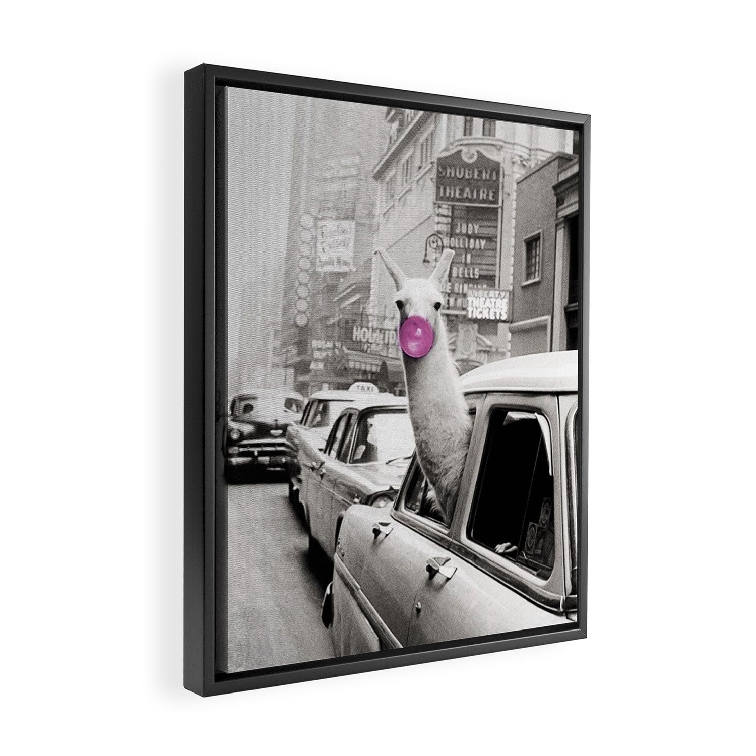 Perfect Pink Bubble Gum Llama taking a New York Taxi black and white photograph Framed Canvas Print Gallery Image 2