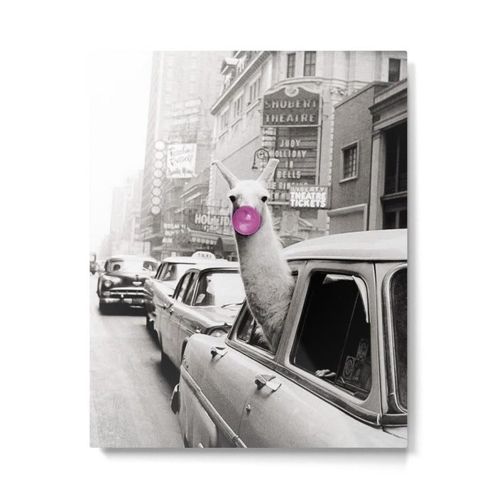 Perfect Pink Bubble Gum Llama taking a New York Taxi black and white photograph Metal Print Gallery Image 1