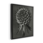 Phacelia Tanacetifolia Lacy Phacelia wonders of nature black and white photograph by Karl Blossfeldt Framed Canvas Print Gallery Image 2