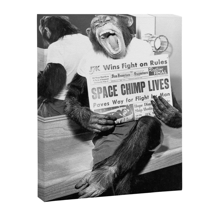 Space Chimp Lives - NASA Moon Flight black and white photograph Canvas Print Gallery Image 1