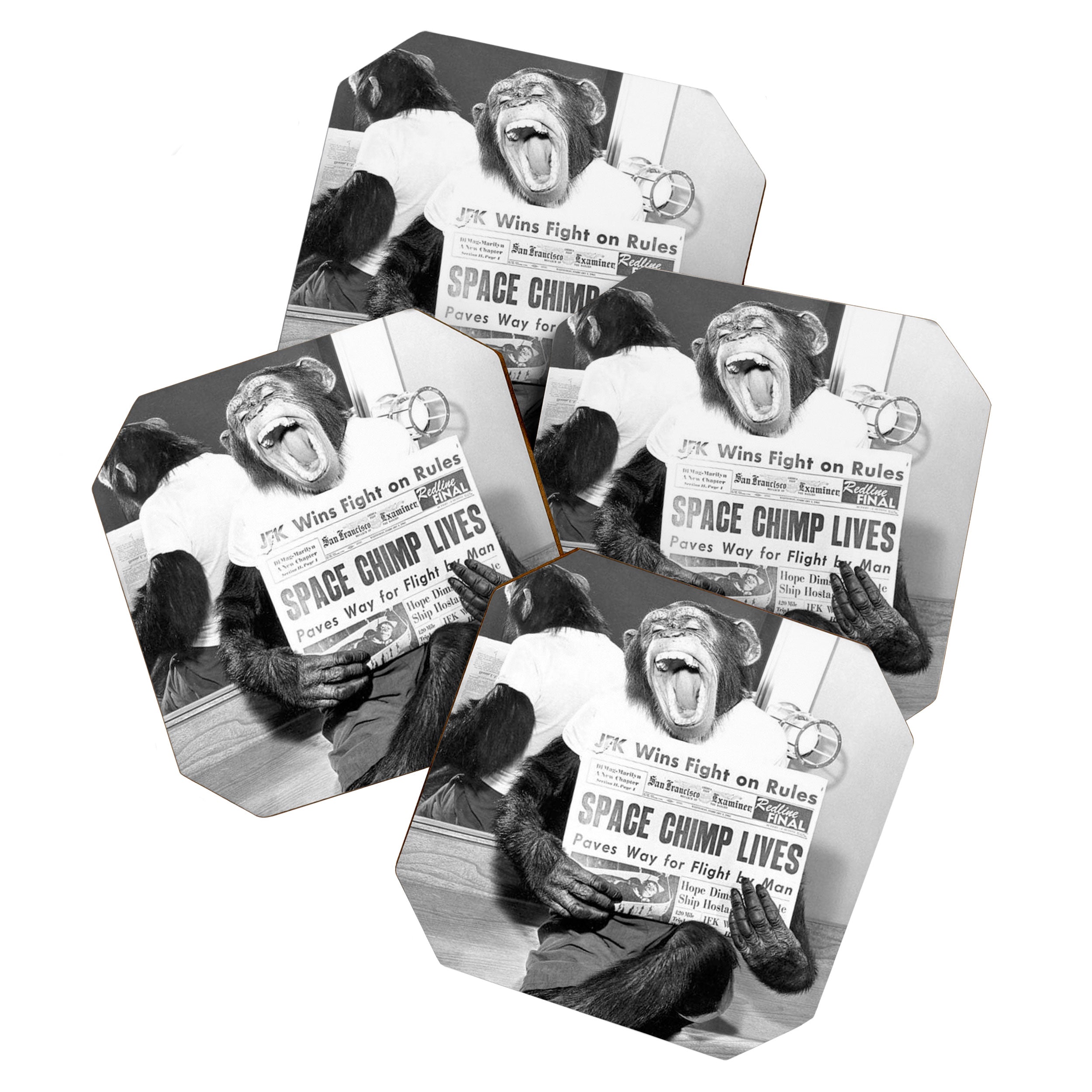 Space Chimp Lives - NASA Moon Flight black and white photograph Coaster Gallery Image 1