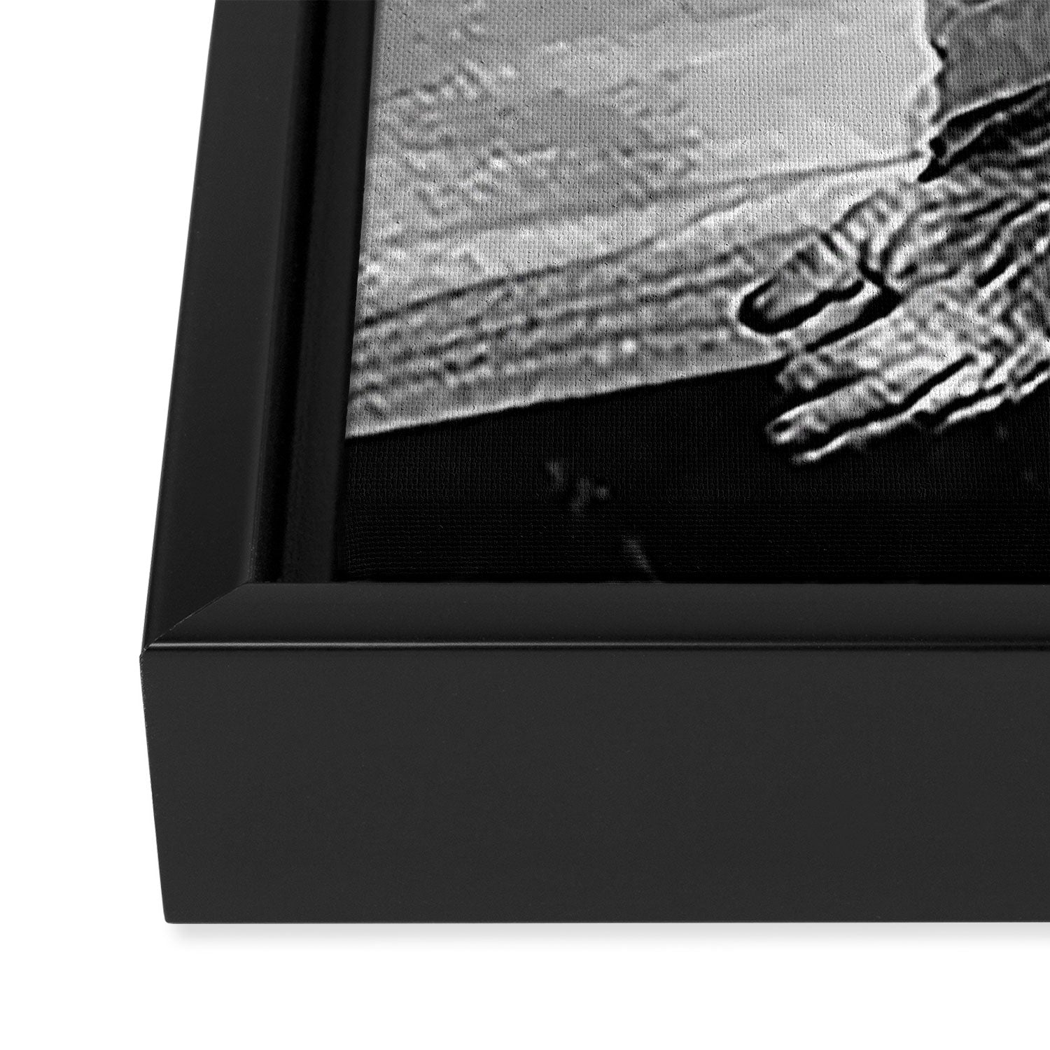 Space Chimp Lives - NASA Moon Flight black and white photograph Framed Canvas Print Gallery Image 3