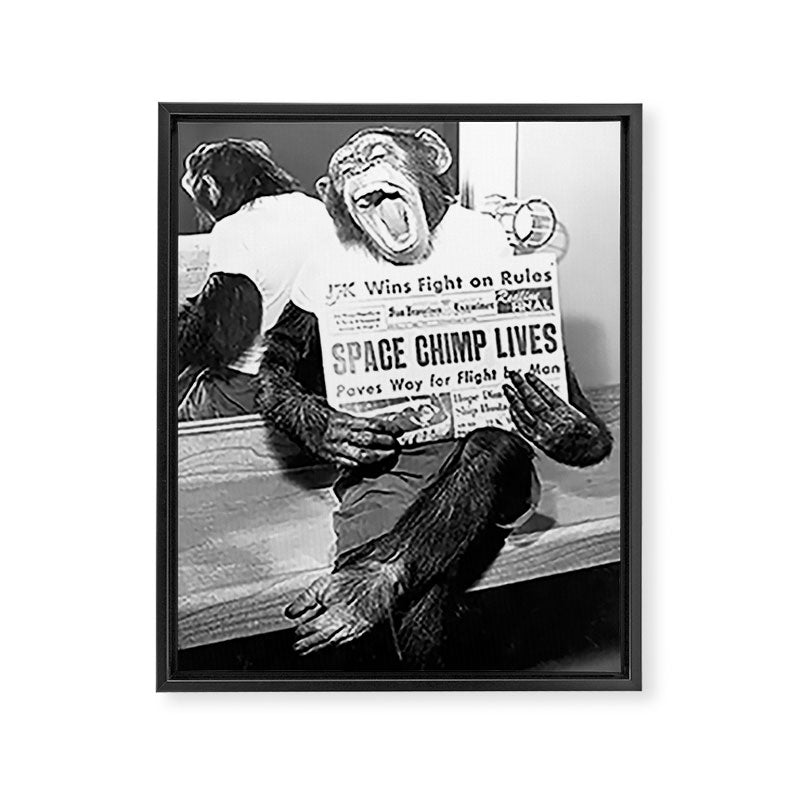 Space Chimp Lives - NASA Moon Flight black and white photograph Framed Canvas Print Gallery Image 8