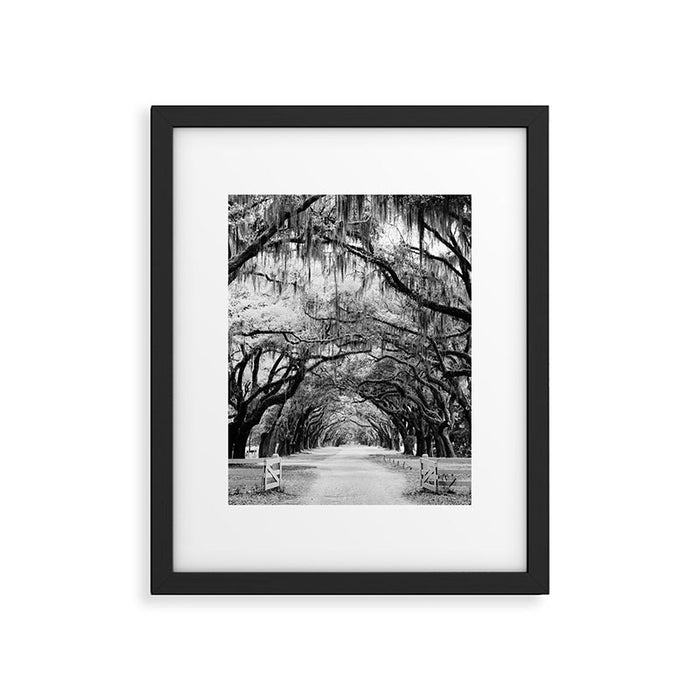Spanish Moss on Southern Live Oak Trees black and white photograph / black and white art photography Framed Art Print Gallery Image 1