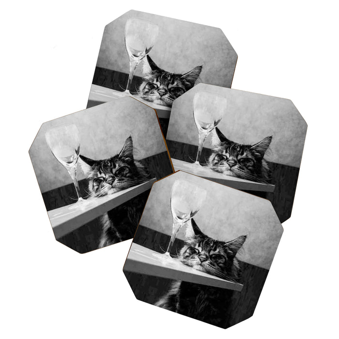 The Nightwatch Cat at the Absinthe bar black and white photograph / art photography Coaster Gallery Image 1
