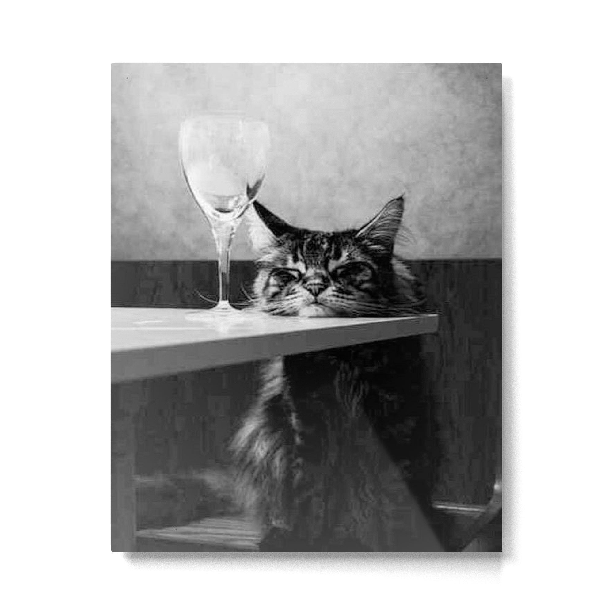 The Nightwatch Cat at the Absinthe bar black and white photograph / art photography Metal Print Gallery Image 6