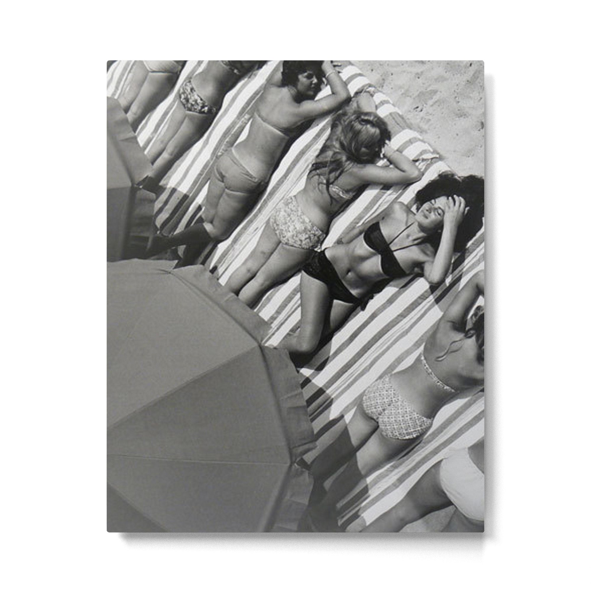 They laugh at me because I am different.  I laugh at them because they are all the same! Metal Print Gallery Image 4