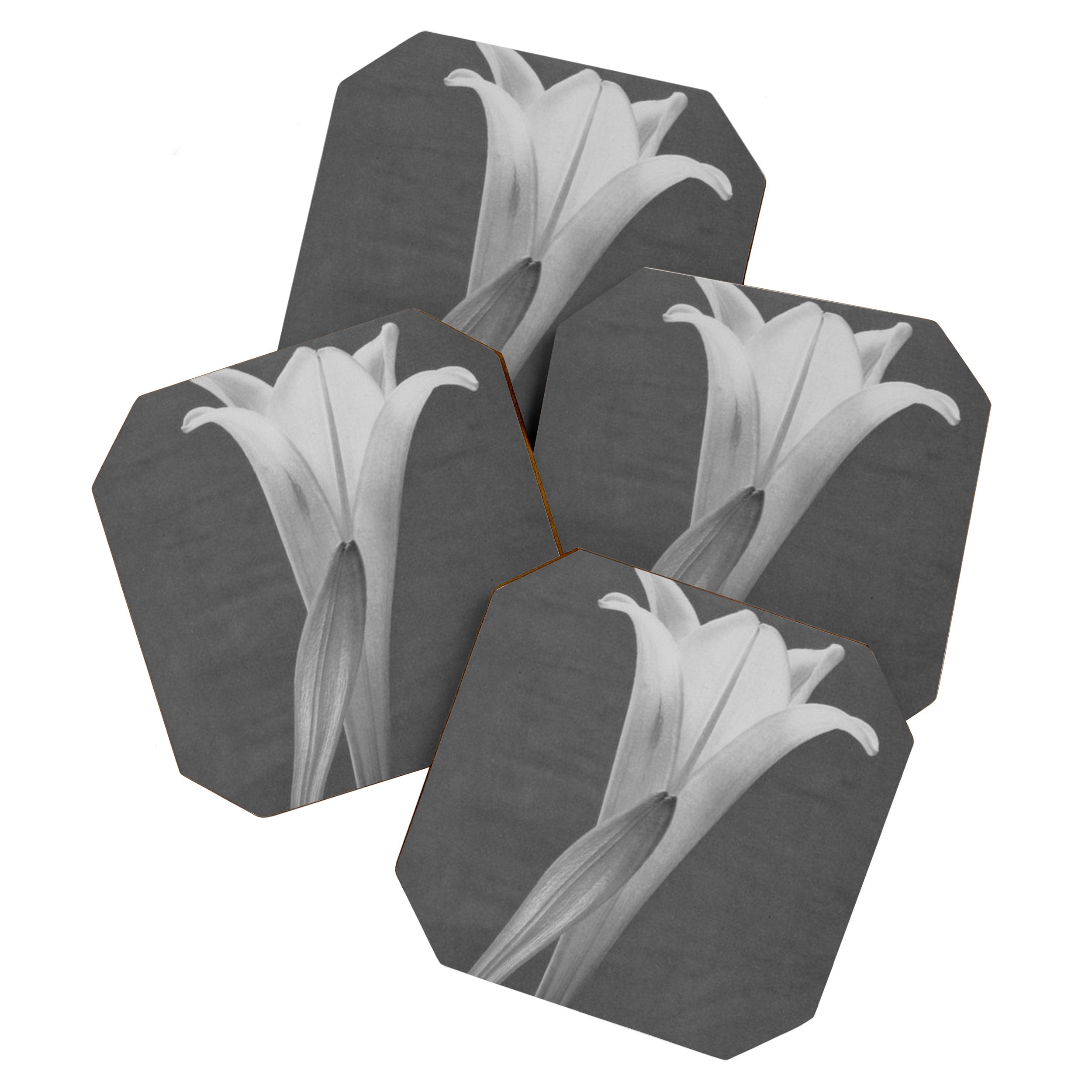 Tulip Blossoms floral black and white photography / photograph Coaster Gallery Image 1