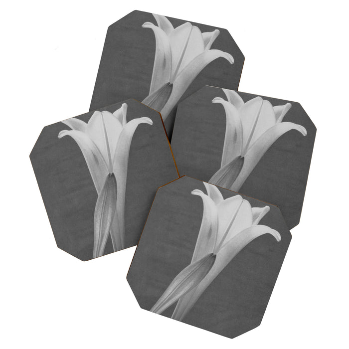 Tulip Blossoms floral black and white photography / photograph Coaster Gallery Image 1