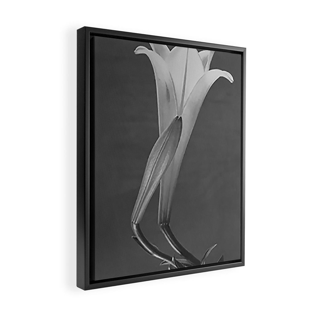 Tulip Blossoms floral black and white photography / photograph Framed Canvas Print Gallery Image 2