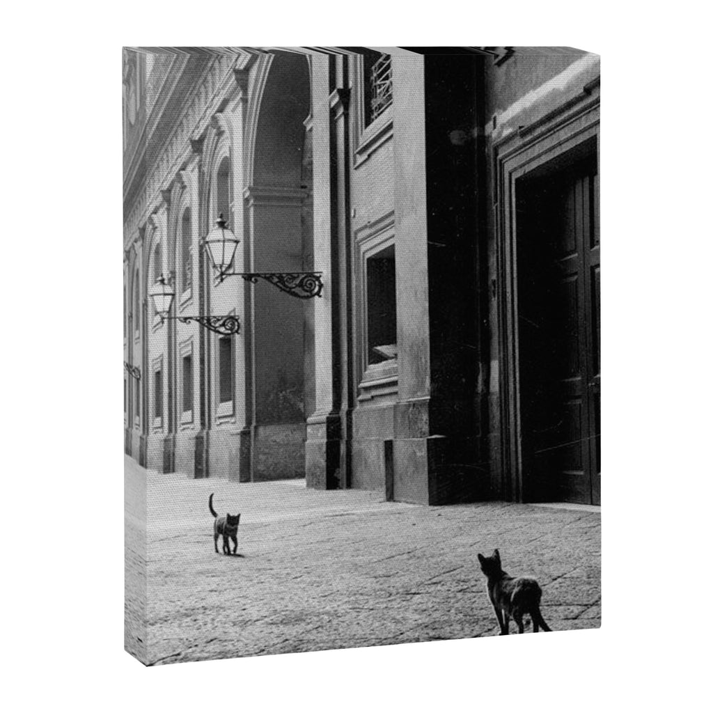 Two French Cats, Paris Left Bank black and white cityscape photograph / photography Canvas Print Gallery Image 6