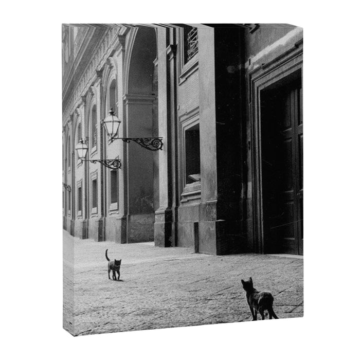 Two French Cats, Paris Left Bank black and white cityscape photograph / photography Canvas Print Gallery Image 1