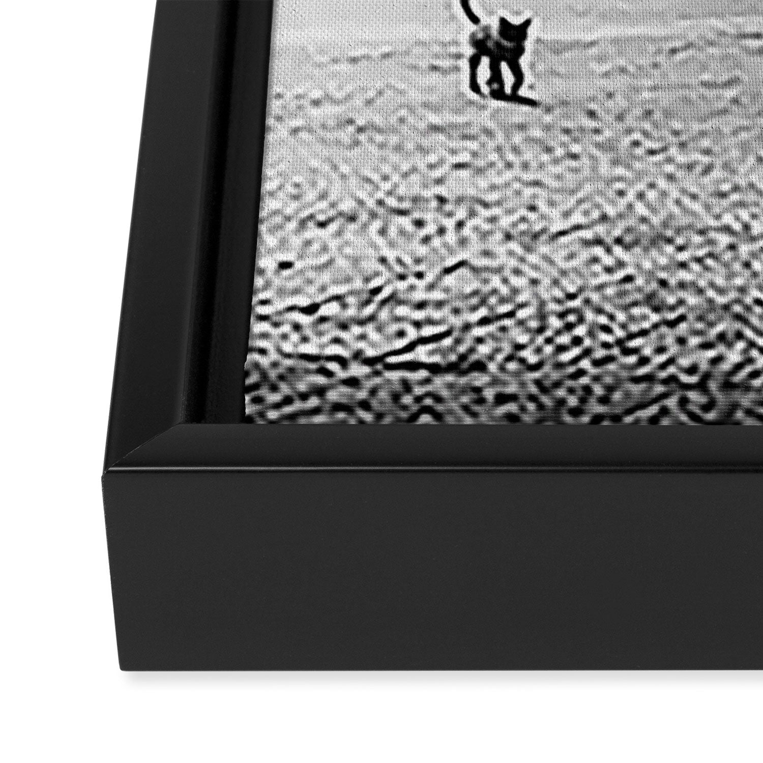 Two French Cats, Paris Left Bank black and white cityscape photograph / photography Framed Canvas Print Gallery Image 3