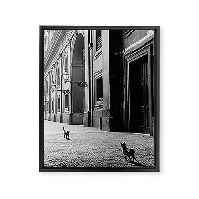 Two French Cats, Paris Left Bank black and white cityscape photograph / photography Framed Canvas Print Gallery Image 1