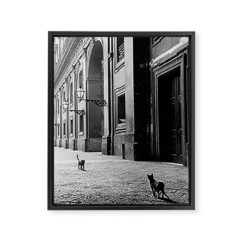 Two French Cats, Paris Left Bank black and white cityscape photograph / photography Framed Canvas Print Gallery Image 6