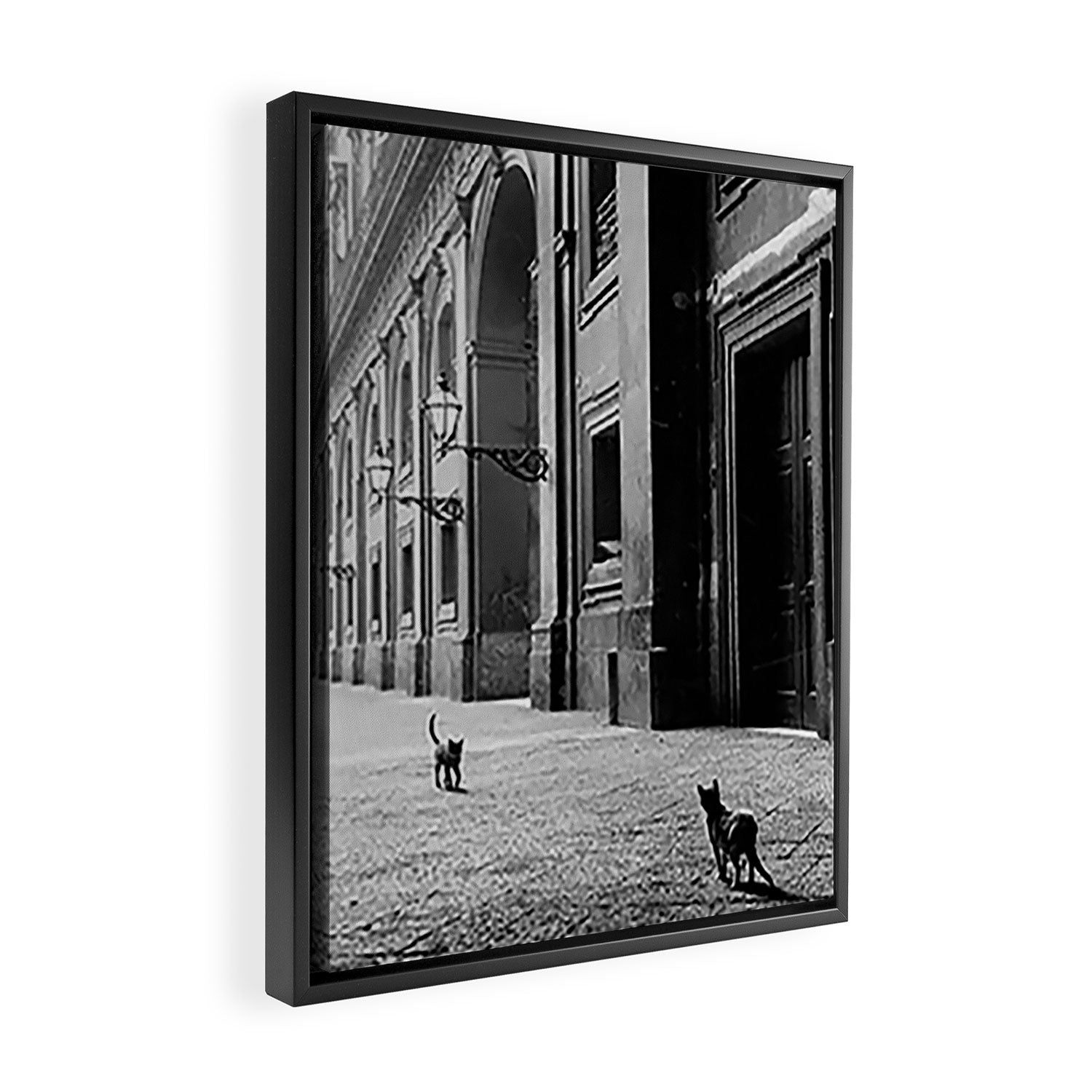 Two French Cats, Paris Left Bank black and white cityscape photograph / photography Framed Canvas Print Gallery Image 2