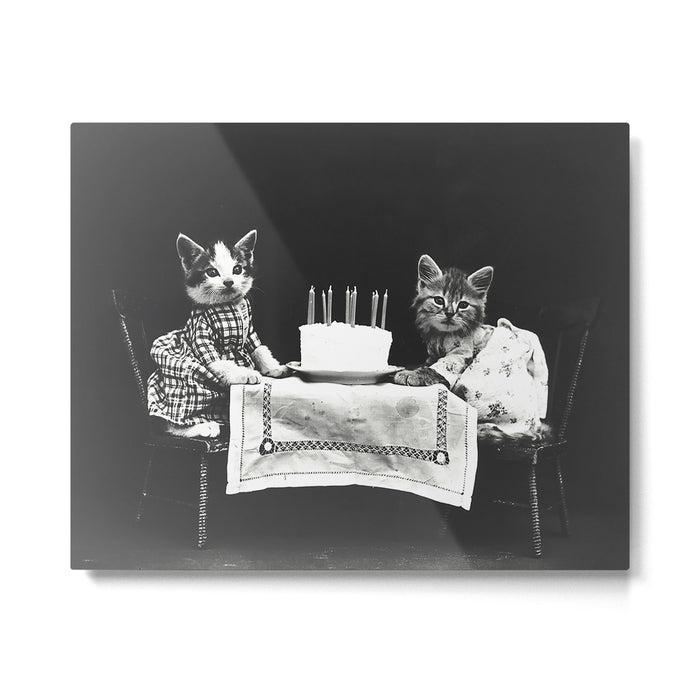 Vintage Let them eat cake kittens with cake and candles funny humorous black and white photograph Metal Print Gallery Image 1
