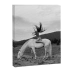 Wild horses couldn't take you from me; young woman on a white horse throwing her hair black wilderness black and white photograph - photography - photographs Canvas Print Gallery Image 6