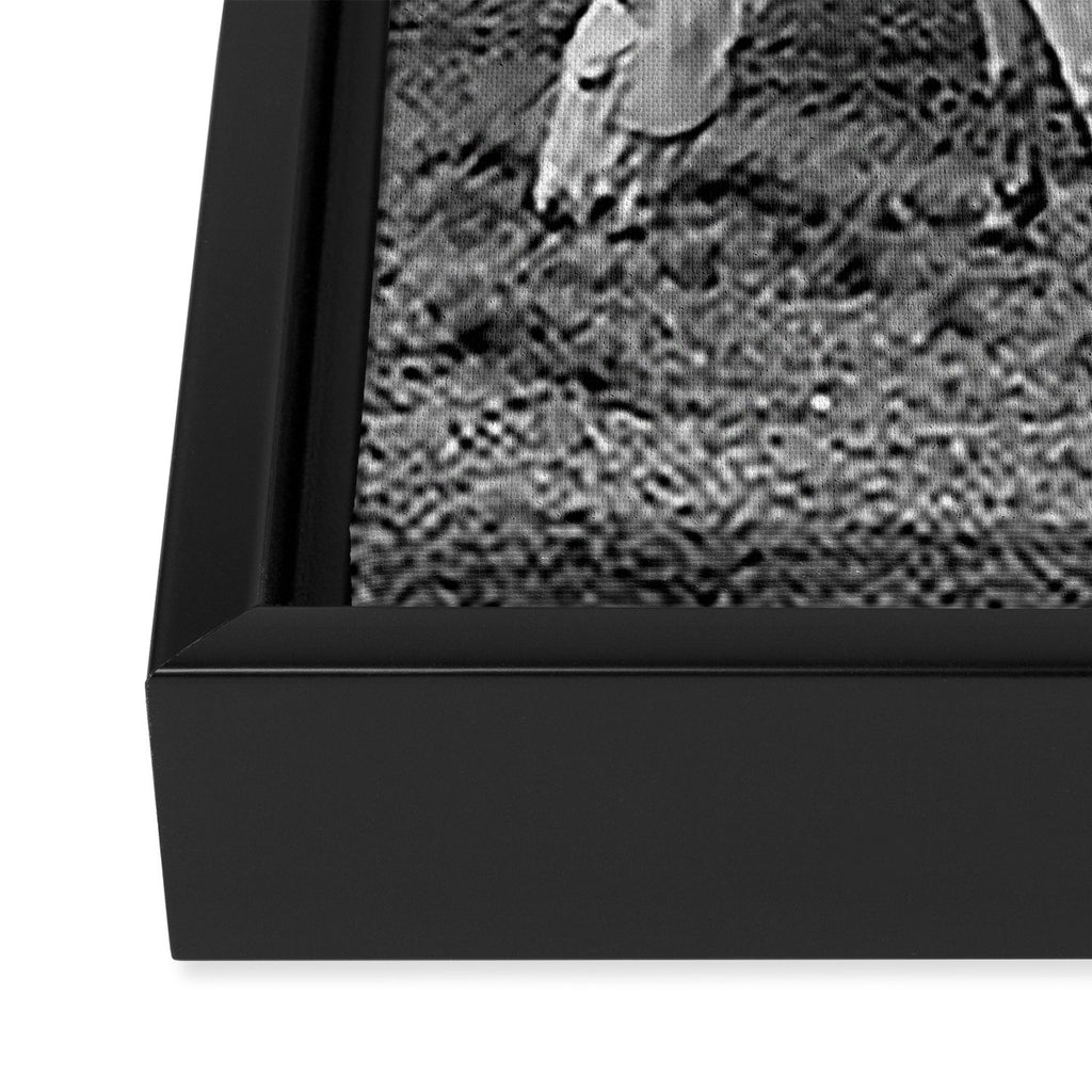 Wild horses couldn't take you from me; young woman on a white horse throwing her hair black wilderness black and white photograph - photography - photographs Framed Canvas Print Gallery Image 3