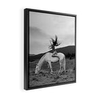 Wild horses couldn't take you from me; young woman on a white horse throwing her hair black wilderness black and white photograph - photography - photographs Framed Canvas Print Gallery Image 2