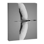 Wings of an Egret in Mid-flight black and white photography - black and white photographs Canvas Print Gallery Image 6